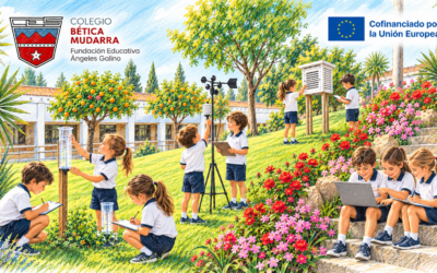Nuestro colegio Bética – Mudarra se une al proyecto europeo GreenCode